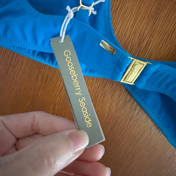 Gooseberry Blue Bikini Top - Picture 4 of 5